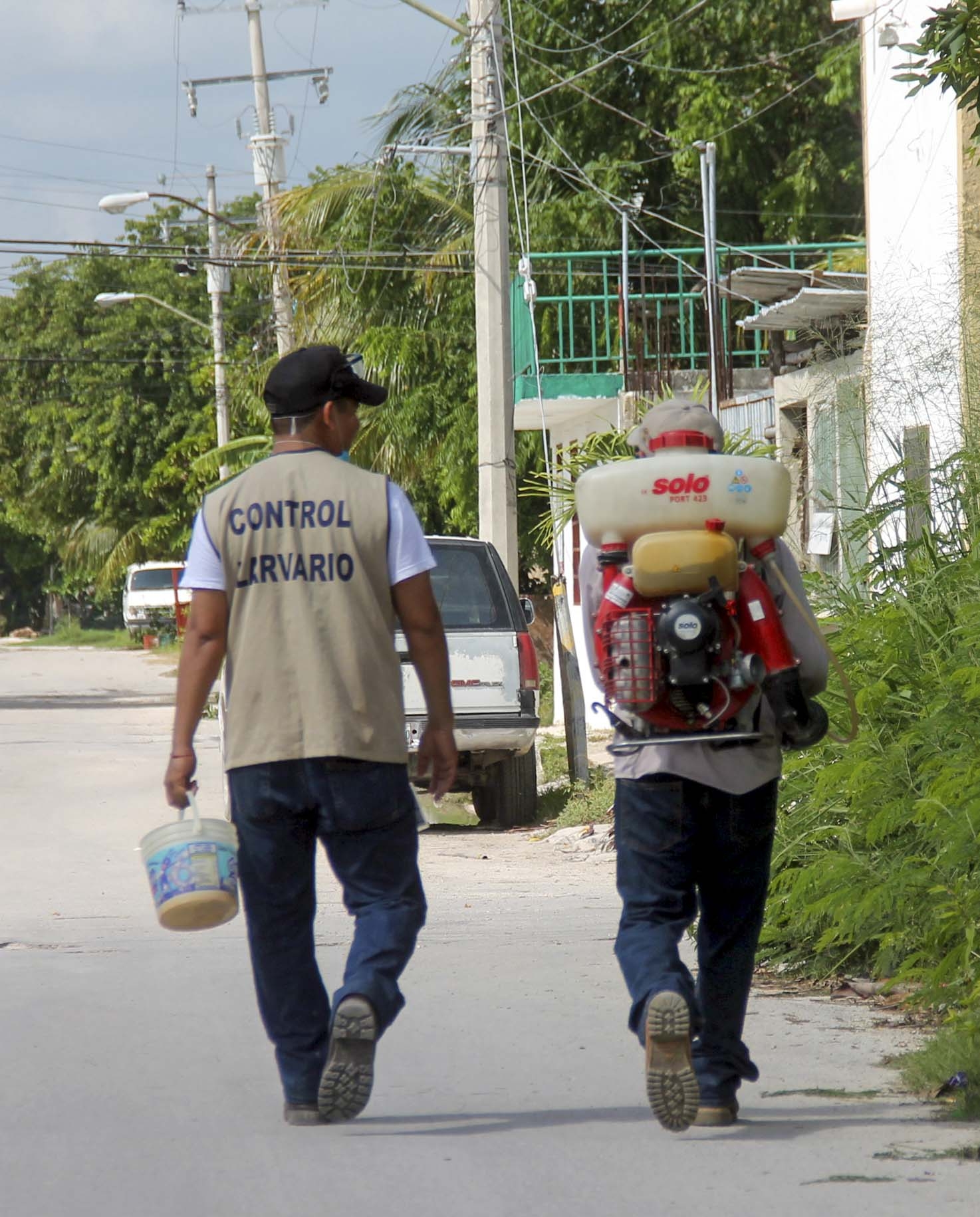 Dengue y Viruela del mono arrasan en Quintana Roo; se ubica en los primeros lugares en México