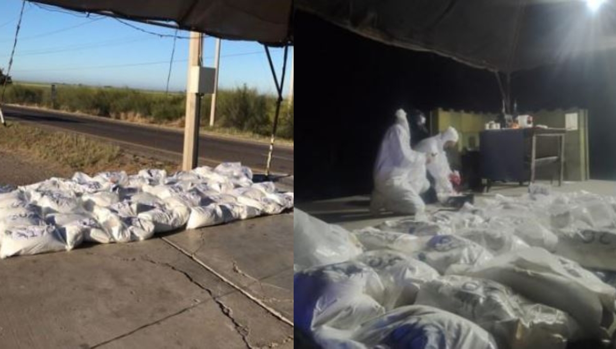 Aseguran 280 kilos de presunto fentanilo en un camión en Sinaloa