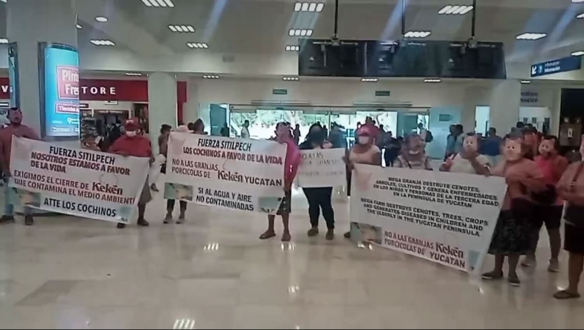 Con máscaras de cochinos, pobladores de Sitilpech se manifestaron en el aeropuerto de Cancún