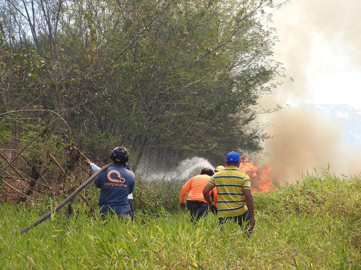 Fuego consume 160 hectáreas de maleza en la vía Mérida-Campeche