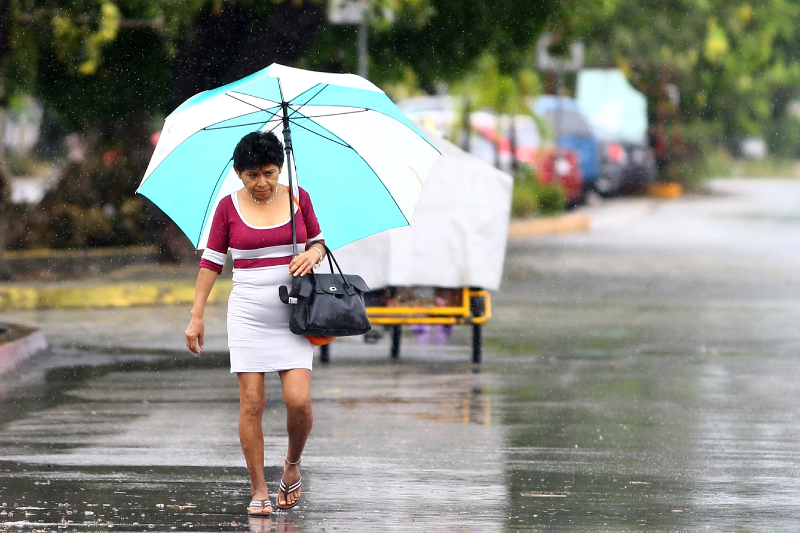 Clima Campeche 9 de agosto: Intervalos de chubascos estarán presentes este miércoles