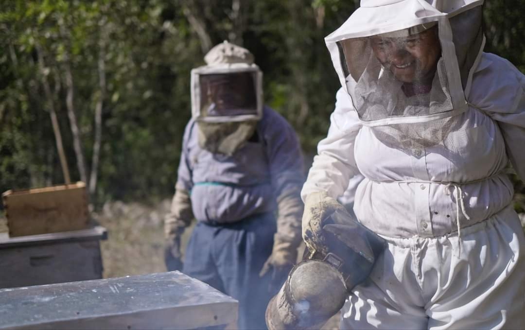 Miel china acabaría con la apicultura yucateca; exigen etiquetado