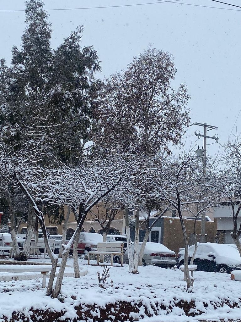 Sonora se cubre de blanco con la primera nevada del 2023