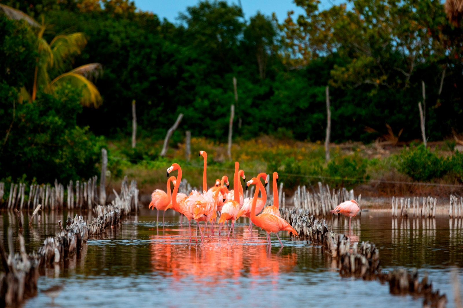 Cinco destinos para hacer ecoturismo en Yucatán esta Semana Santa