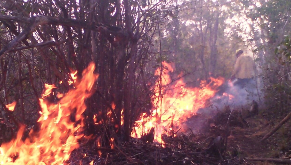 Quemas provocadas se salen de control; registran 18 incendios en Playa del Carmen