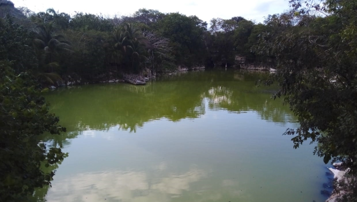 Contaminación del subsuelo podría dejar sin agua a Playa del Carmen en 10 años