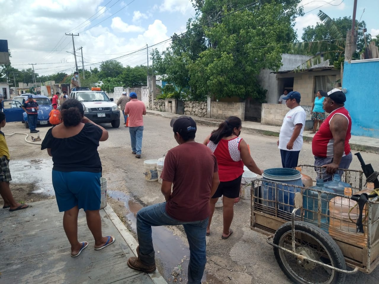 Granjas porcícolas, culpables de la escasez del agua en Yucatán: Biólogos