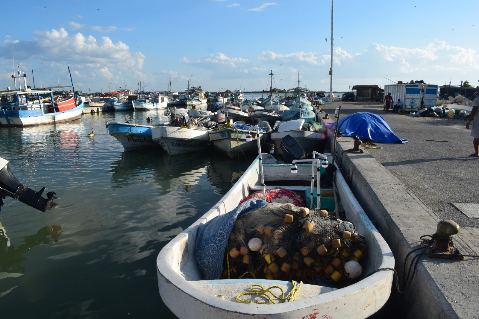 Localizan en Celestún a los 5 pescadores náufragos en Progreso