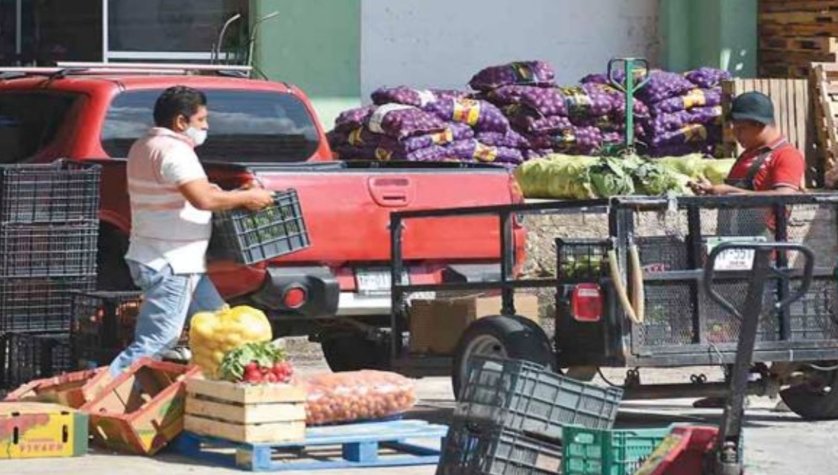 Central de abastos en Mérida vende a más de mil pesos la canasta básica: Profeco