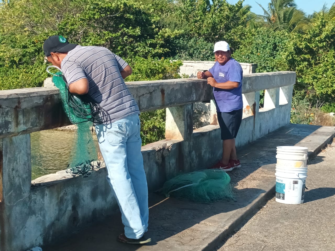 Escasean las especies marinas en Yucatán por malas prácticas de pescadores