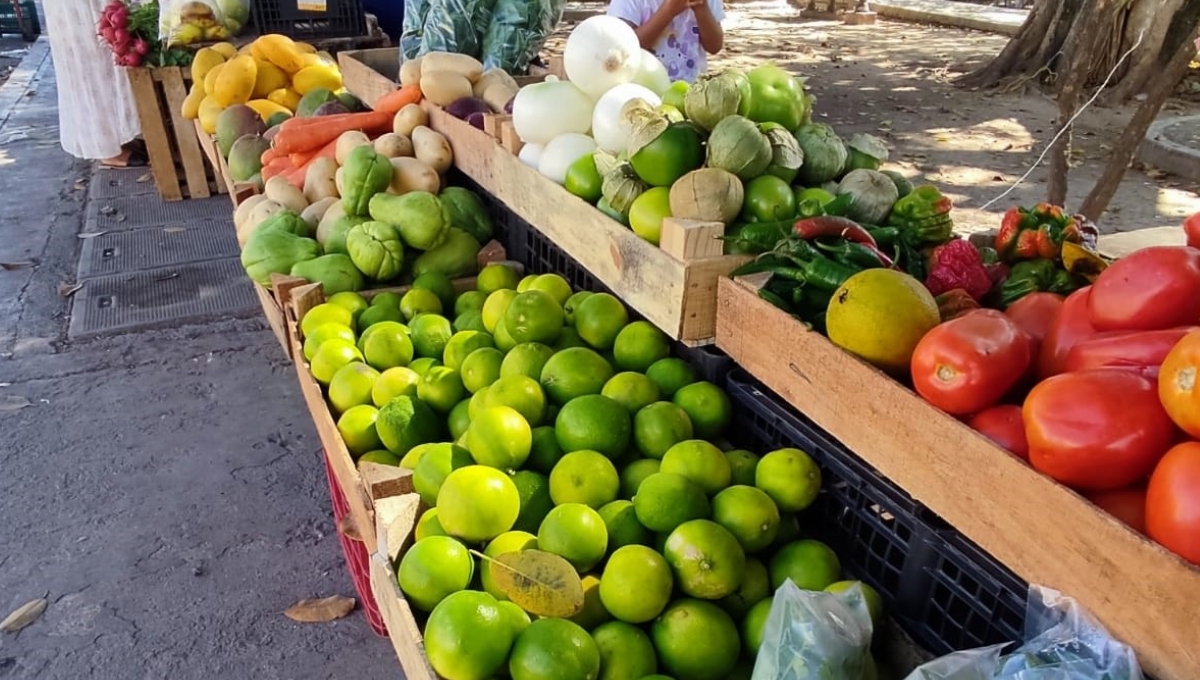 En Tulum, el kilo del limón se vende hasta en 45 pesos durante la Cuaresma