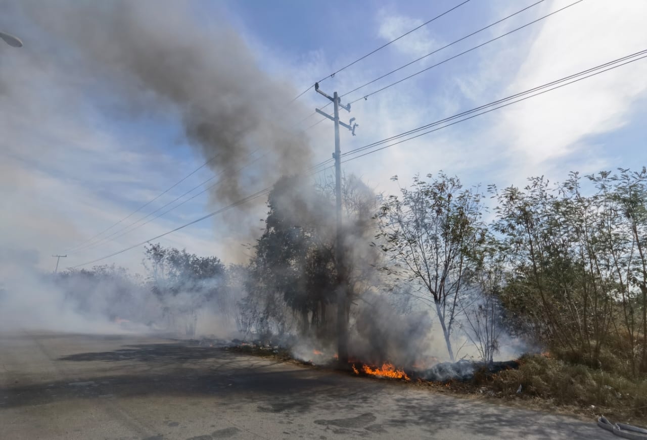 Incendio consume maleza detrás de la Central de Abastos de Mérida: EN VIVO