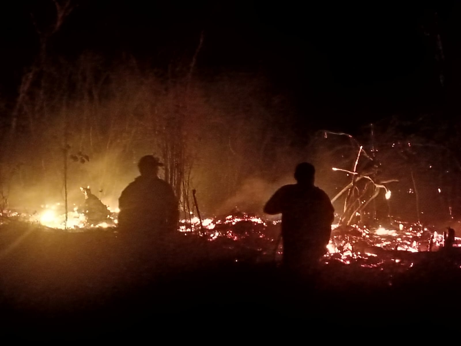 Oleada de incendios forestales arrasa con los Chenes en Campeche
