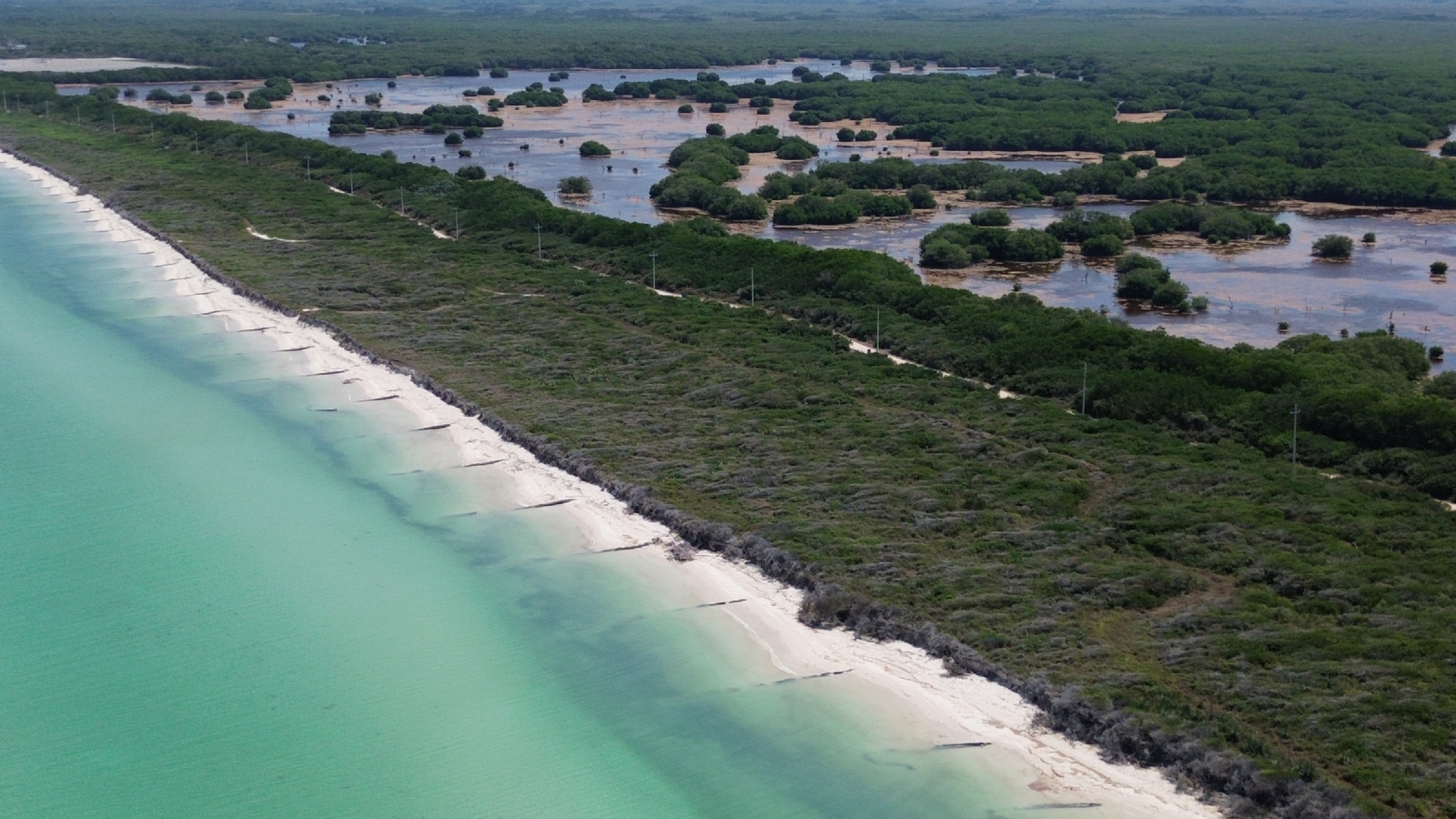 Paraíso Sisal altera la naturaleza de la playa; Semarnat autorizó la instalación de 2 mil 400 rompeolas
