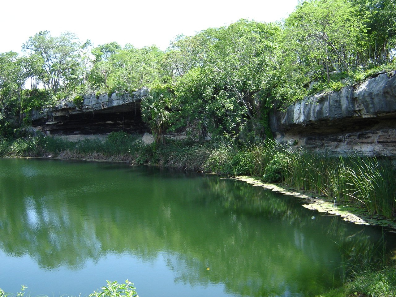 El cenote Sabak-Ha tiene una cruz a 47 metros de profundidad en memoria de un buzo