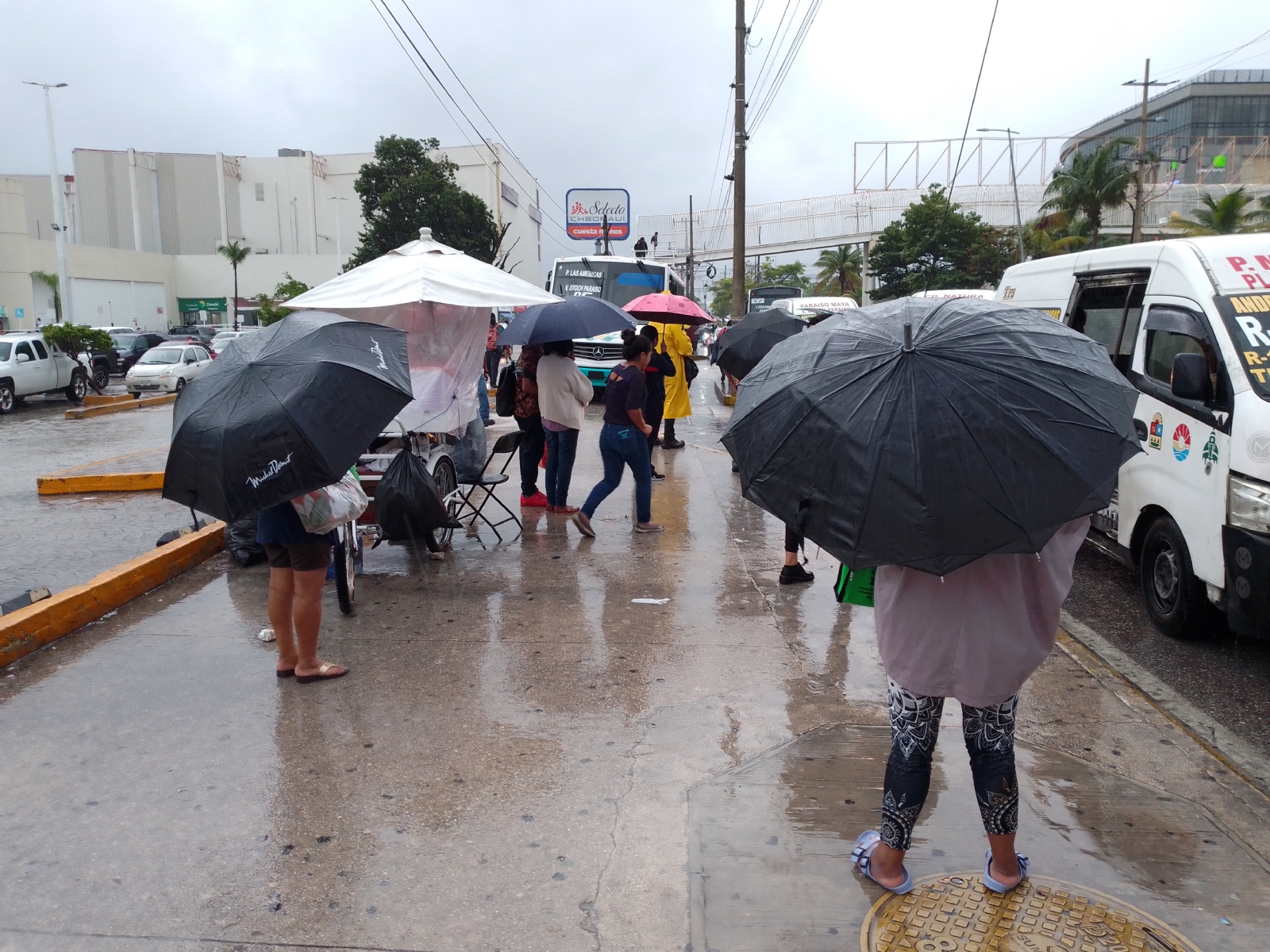Clima Quintana Roo 17 de marzo: SMN prevé intervalos de chubascos