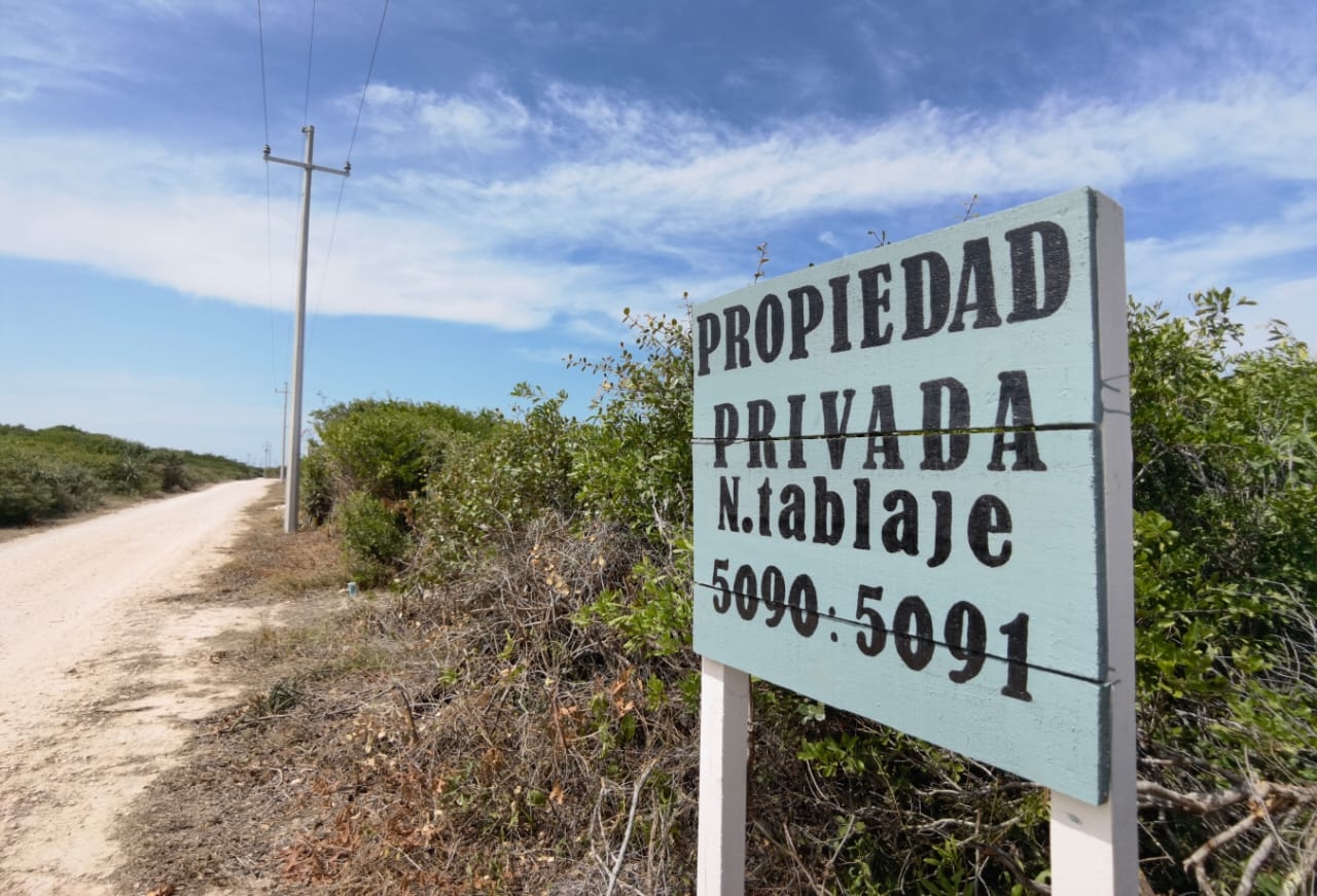Paraíso invadido: Ivonne Ortega y la Semarnat 'cambiaron' Sisal de Reserva a negocio inmobiliario