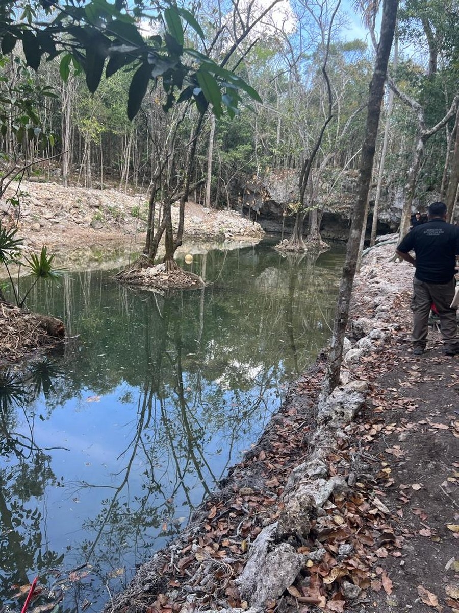 FGR en Quintana Roo llevó a cabo un fuerte operativo en el desarrollo inmobiliario por cometer daños a la biodiversidad
