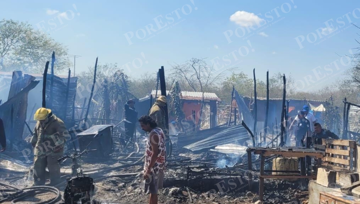 Mueren calcinados siete perros en un incendio en Flamboyanes, Progreso
