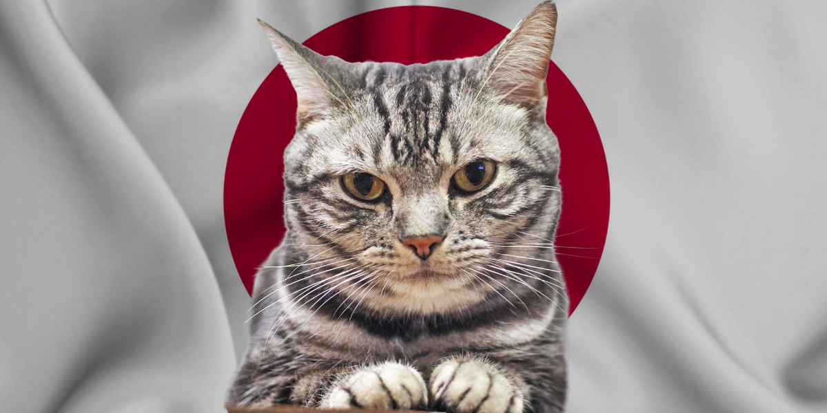Los gatos son parte de la cultura japonesa. Foto: Especial