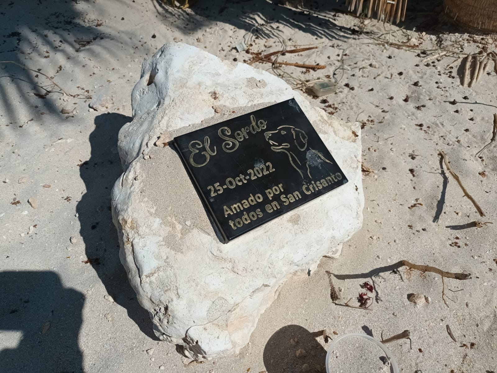 Colocan placa en honor a 'Sordo', el querido lomito con discapacidad de San Crisanto, Yucatán