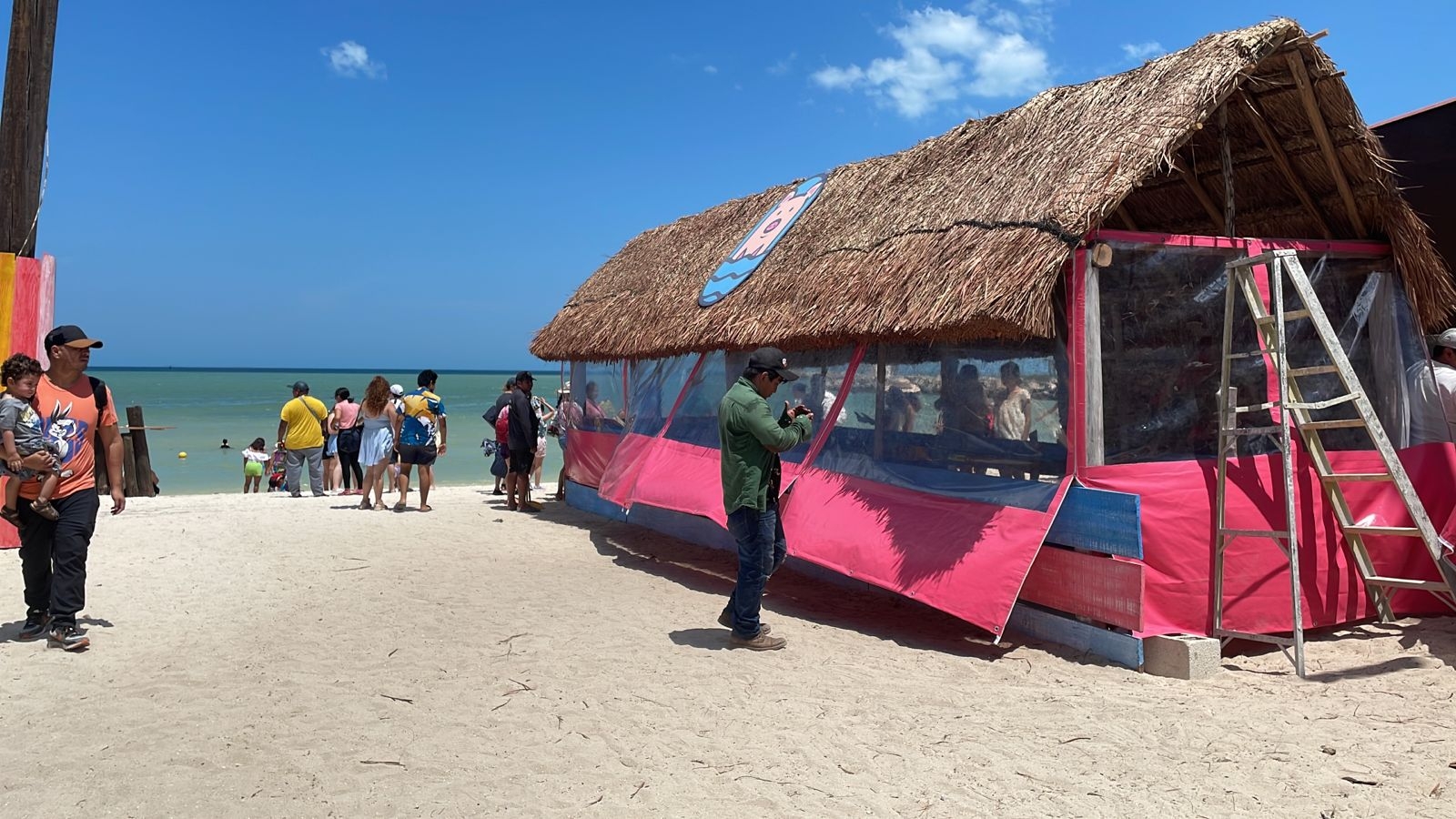 Así es Pig Beach, la famosa playa de los cerditos, en Progreso, Yucatán: VIDEO