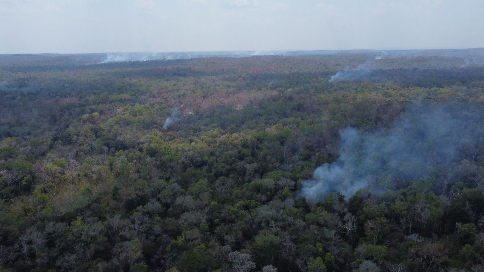 Reportan tres incendios activos en Campeche; van más de 2 mil hectáreas quemadas