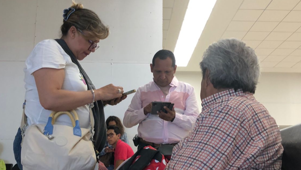 Aeropuerto de Mérida: Perrita casi se queda en tierra por falta de documentos