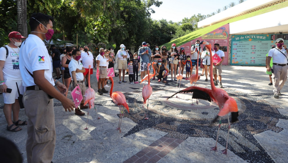 ¿Por qué se dice que los parques temáticos de Quintana Roo son más caros que Disney?