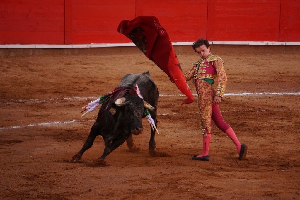 Suspenden corridas de toros en feria de San Cristóbal de las Casas, Chiapas