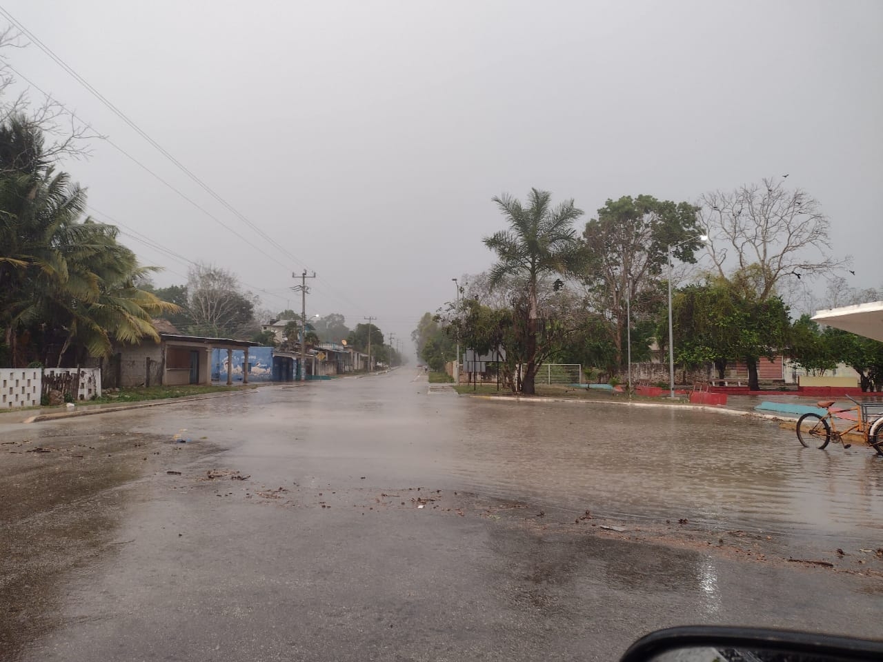 Tromba azota a Felipe Carrillo Puerto; reportan inundaciones y caída de árboles