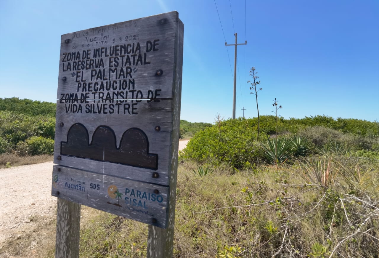 Paraíso Sisal: El Palmar fue catalogado como zona de degradación en 2017, pero se ignoró