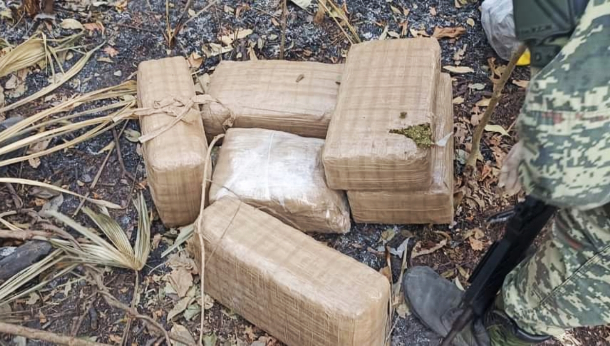 Los 18 kilos de marihuana estaban distribuidos en seis paquetes escondidos entre la maleza
