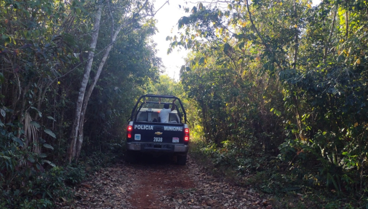Rescatan a abuelito perdido en la selva maya de Felipe Carrillo Puerto