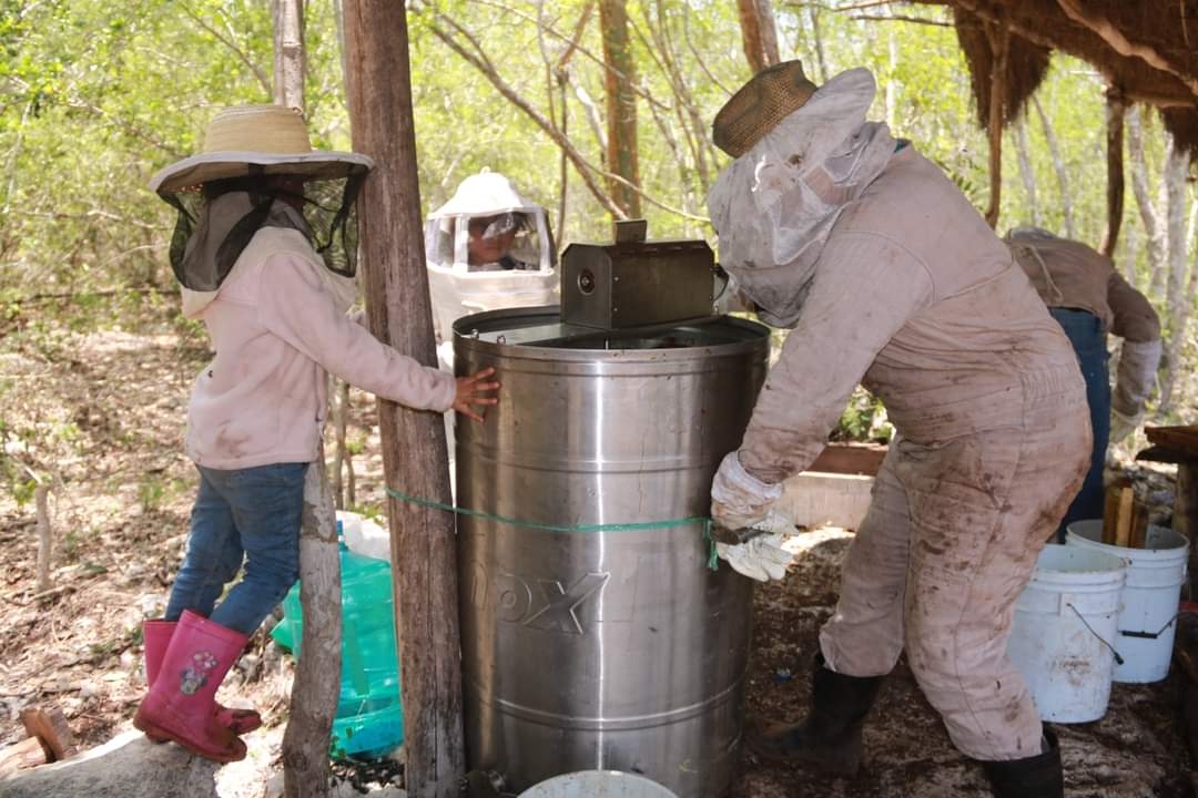 Apicultores de Yucatán vencidos por la miel china; no registran ninguna ganancia