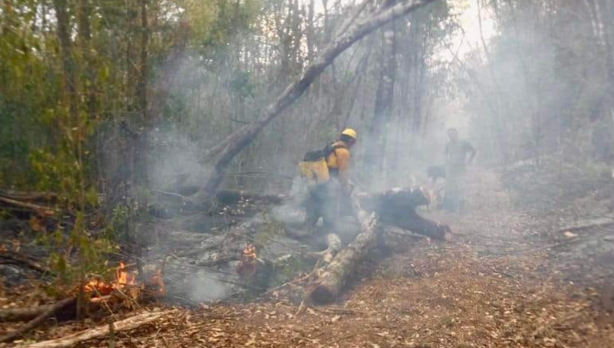 Bomberos sofocan incendios en Campeche; 946 hectáreas fueron afectadas