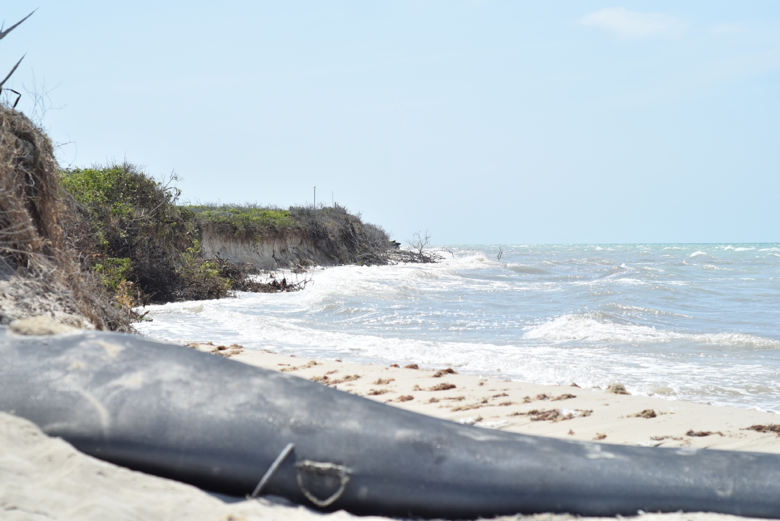 Paraíso Sisal, proyecto responsable de acelerar el colapso ecológico en la costa yucateca
