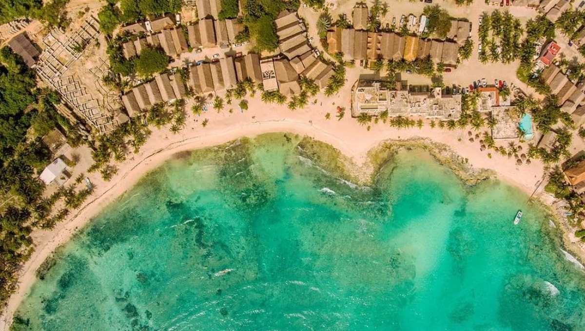 Playa del Carmen: Semarnat rechaza a exsíndico la construcción de un hotel en área forestal