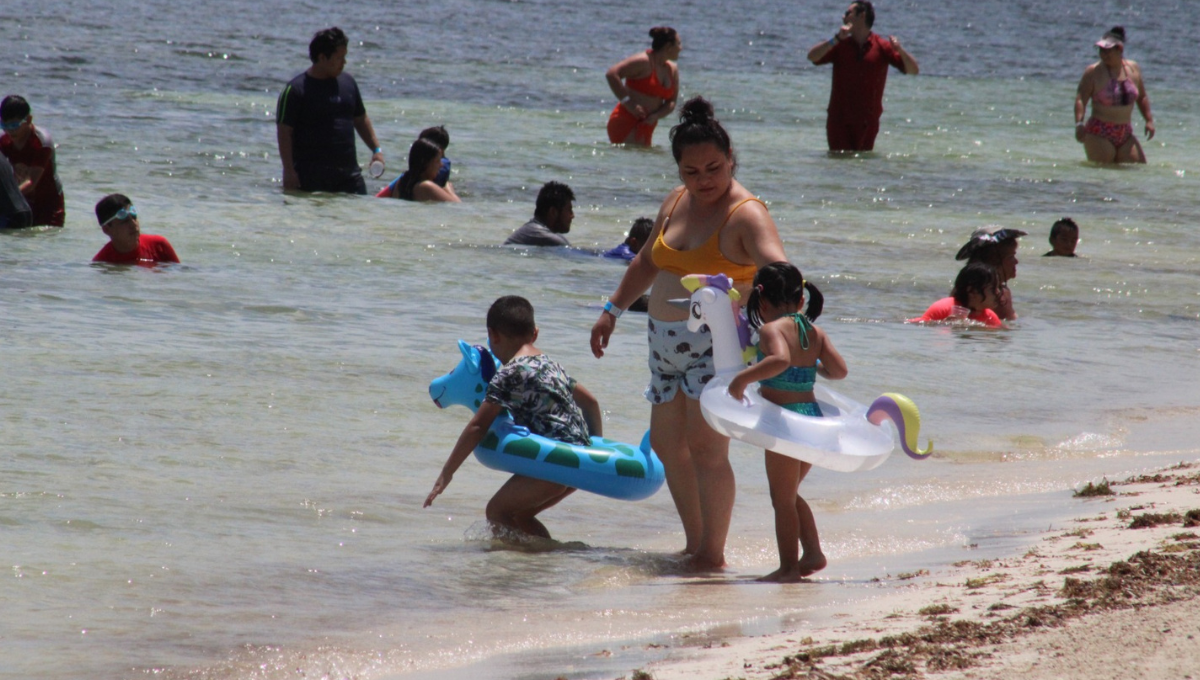 Invasión de playas en Campeche amenaza la anidación de la tortuga marina