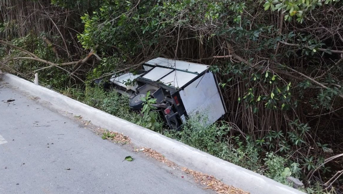 Una camioneta de transporte de carga terminó dentro del manglar de Campeche