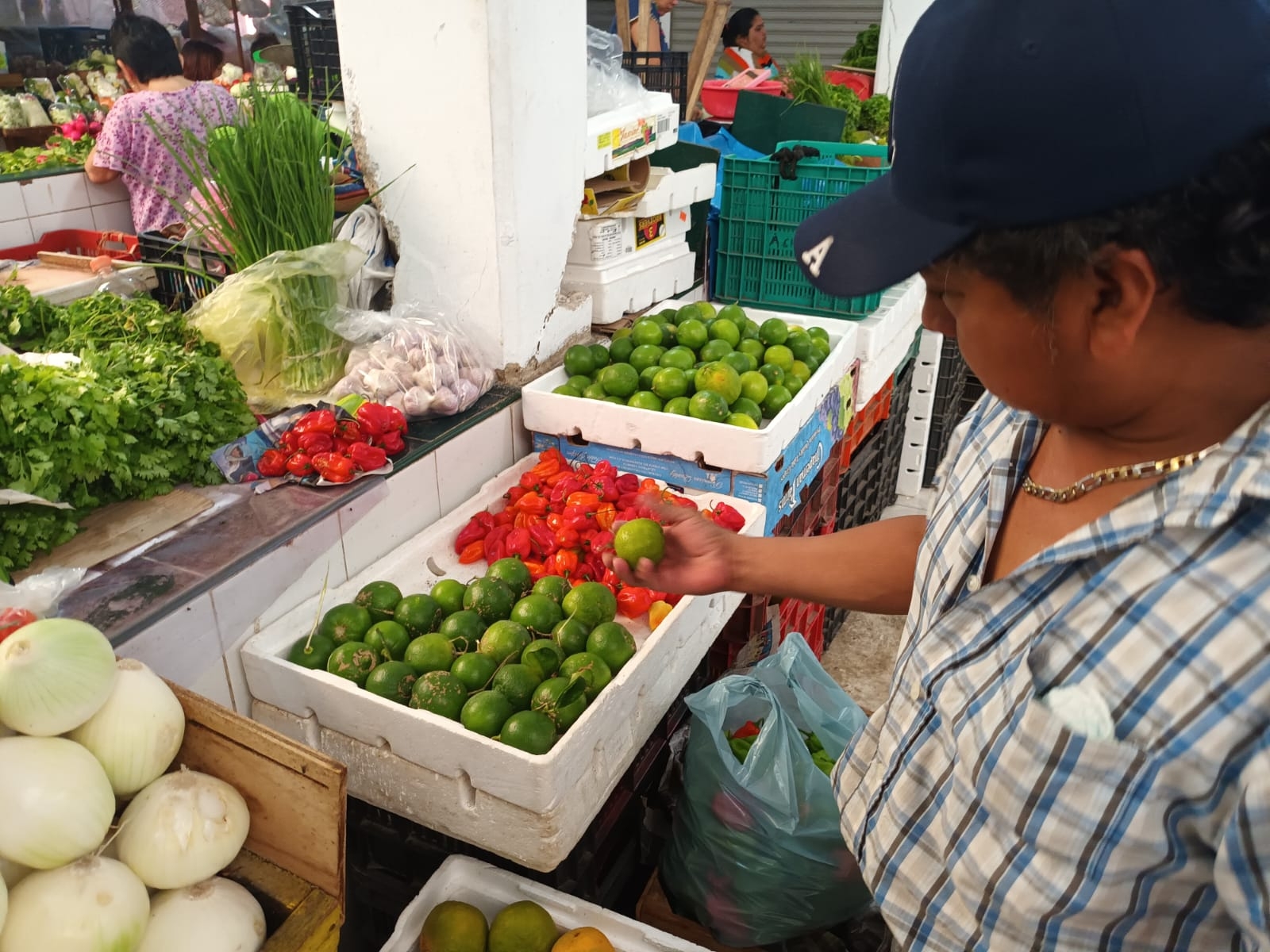 Precio de la lima supera el del limón en Yucatán; se vende hasta en 90 pesos el kilo