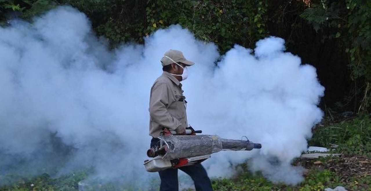 Quintana Roo suma dos muertes y 871 casos de dengue: SINAVE