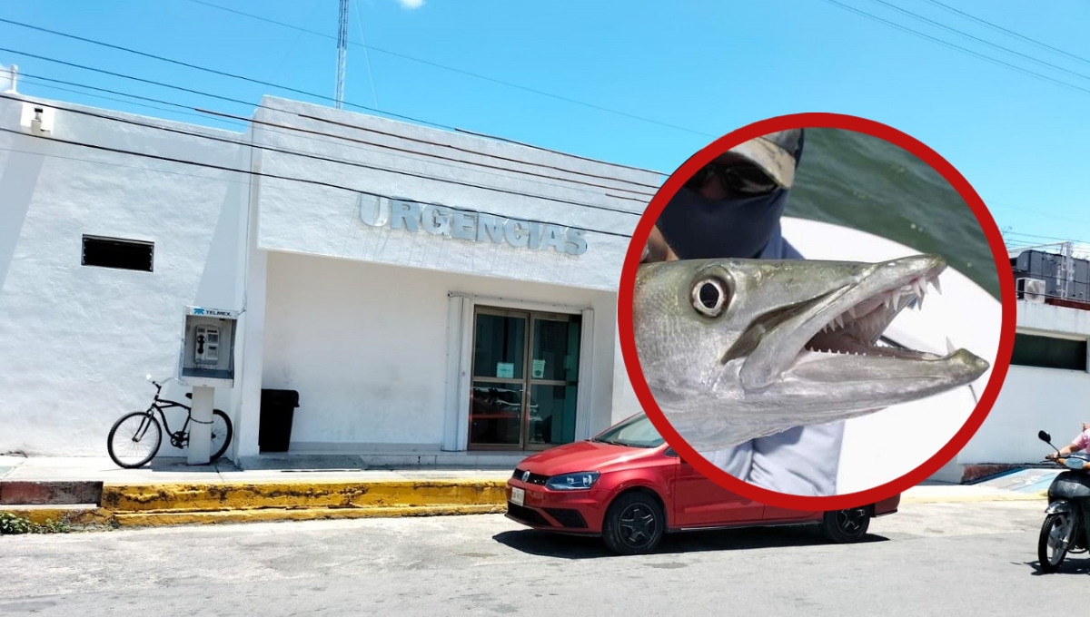 Se intoxican 15 personas al consumir barracuda en Cozumel; hay dos hospitalizadas