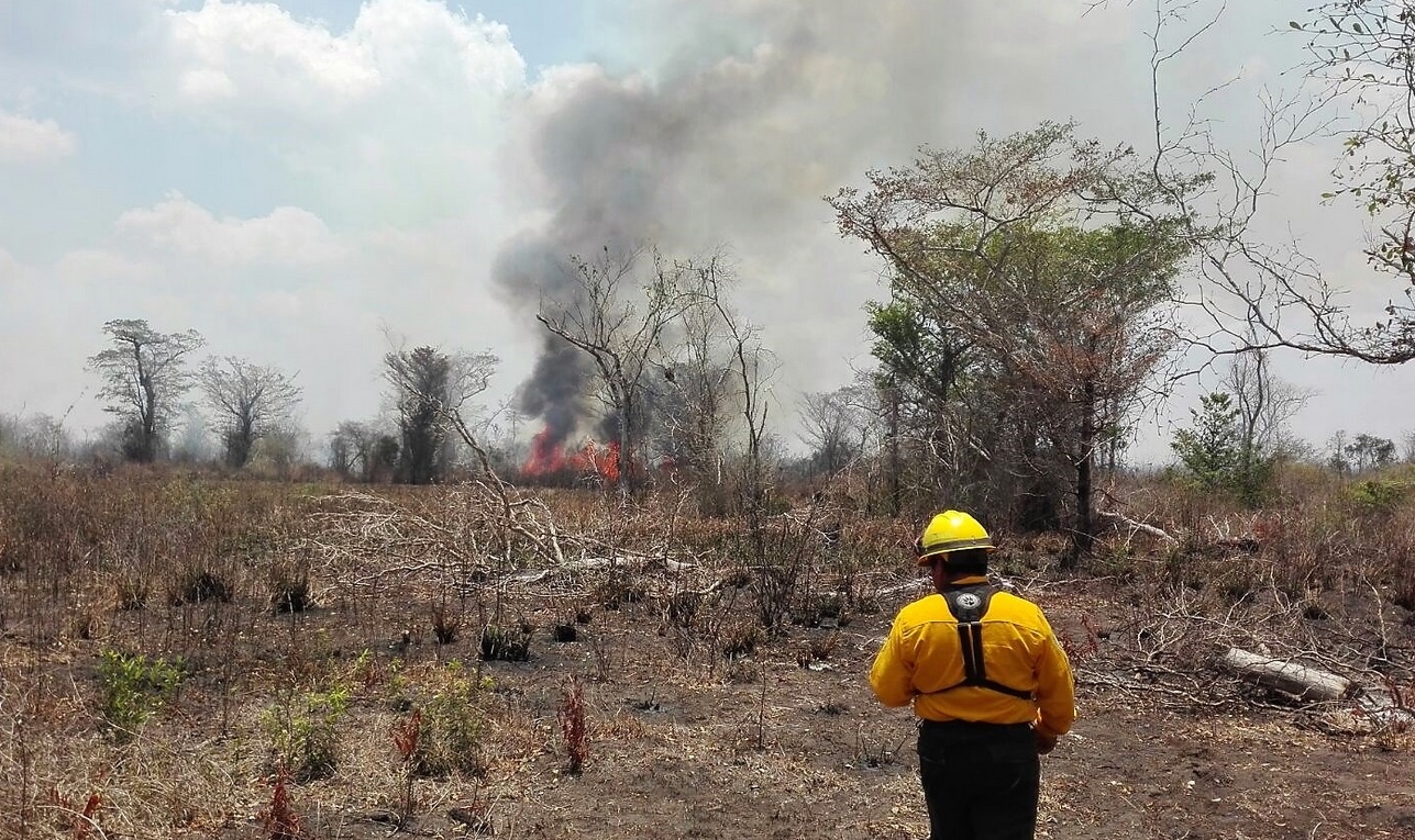 Incendios forestales en Campeche