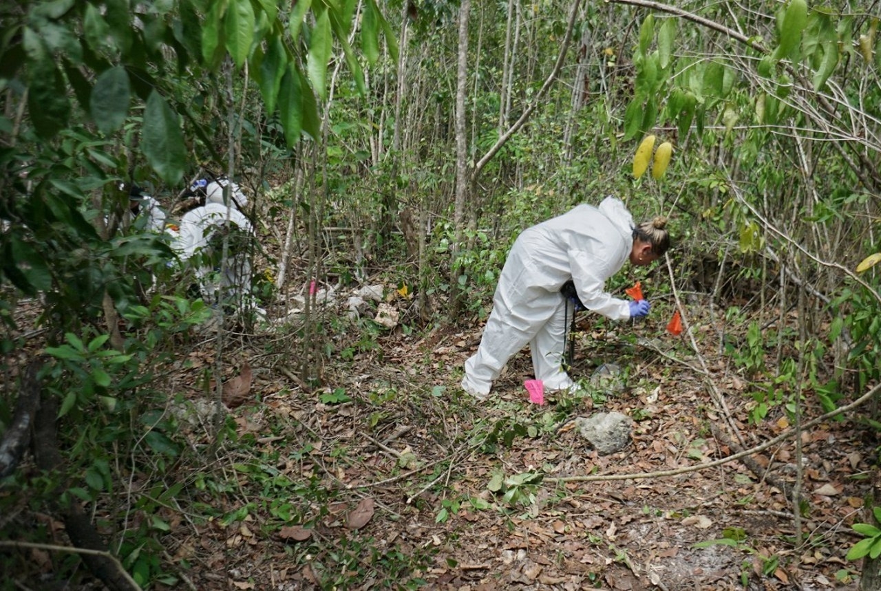 FGE Quintana Roo, sin éxito en la búsqueda de restos humanos en Carrillo Puerto