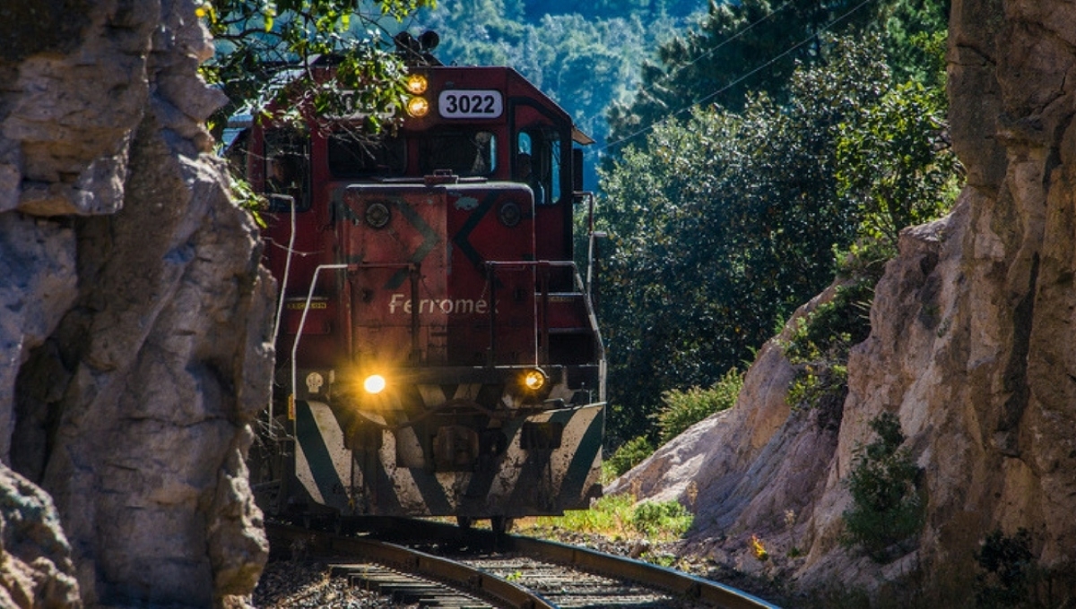 Del Tren Maya a El Sinaloense, los trenes que conectarán a México