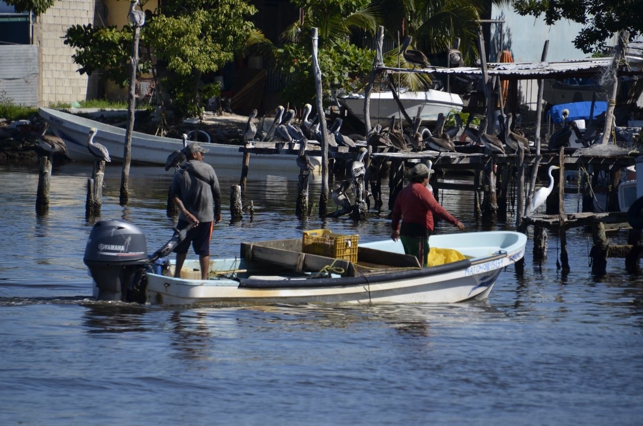 Los pescadores piden reapertura de las zonas de pesca cerca de la Sonda de Campeche