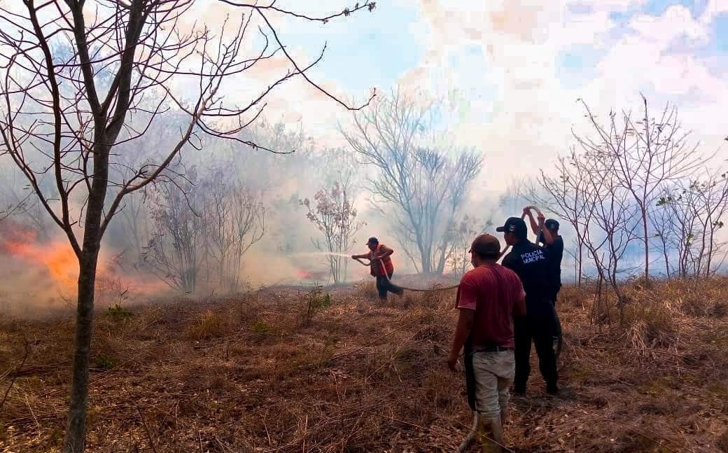 Incendio forestal acaba con 40 colmenas en Akil, Yucatán