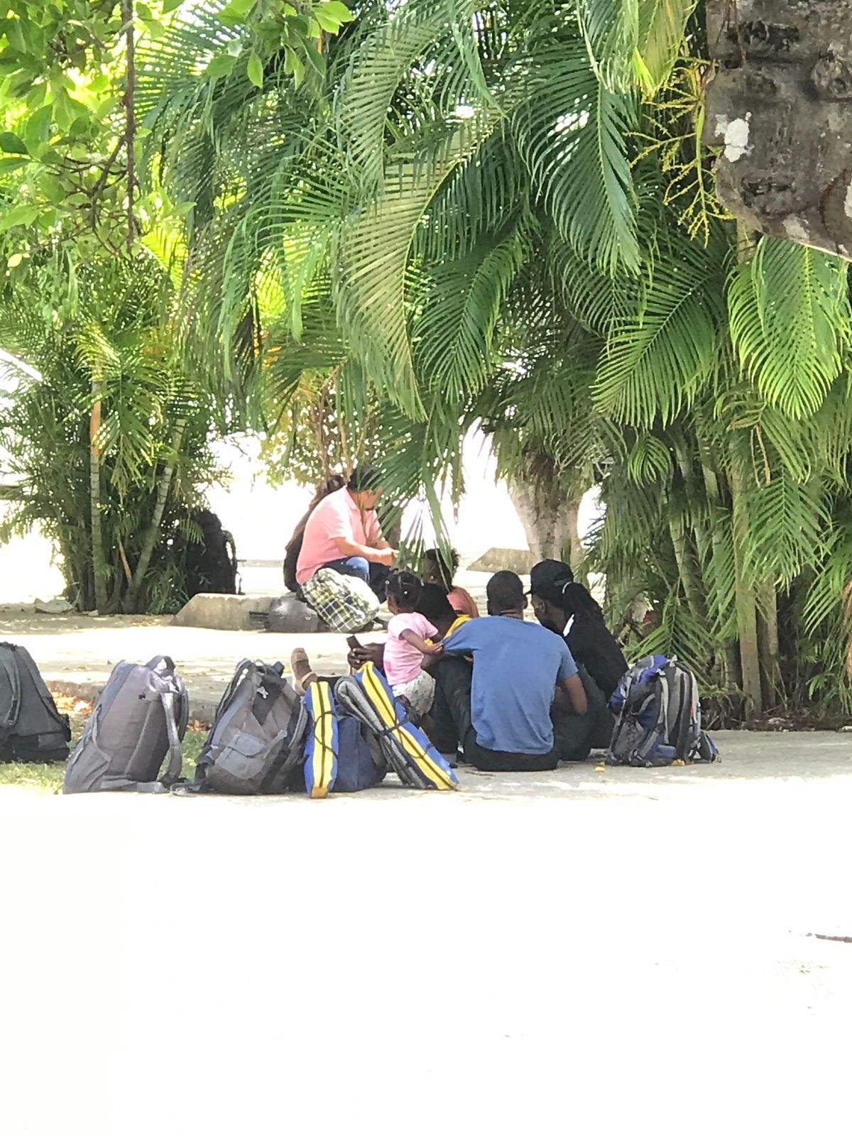 Más de 50 inmigrantes de Haití viajarán del aeropuerto de Cancún a México: EN VIVO