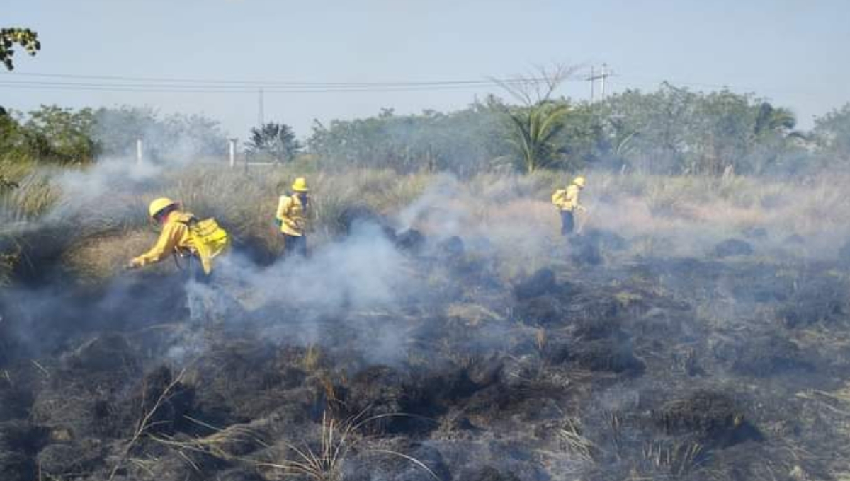 Fuego consume más de 500 metros de pastizales en Sabancuy, Campeche